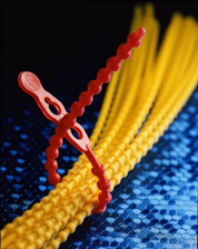 Blitzbinder cable ties