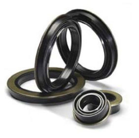 Dichtomatik TCM radial shaft seals - Industrial Supply Magazine