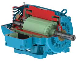 IEEE841 W22 motor